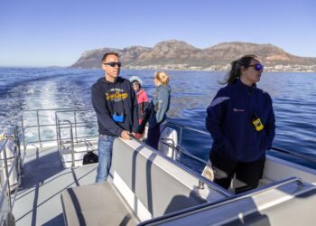 Tourists enjoy a whale and dolphin-watching trip in Cape Town, South Africa, on July 25, 2022. (Photo by Fred Barker/Xinhua)